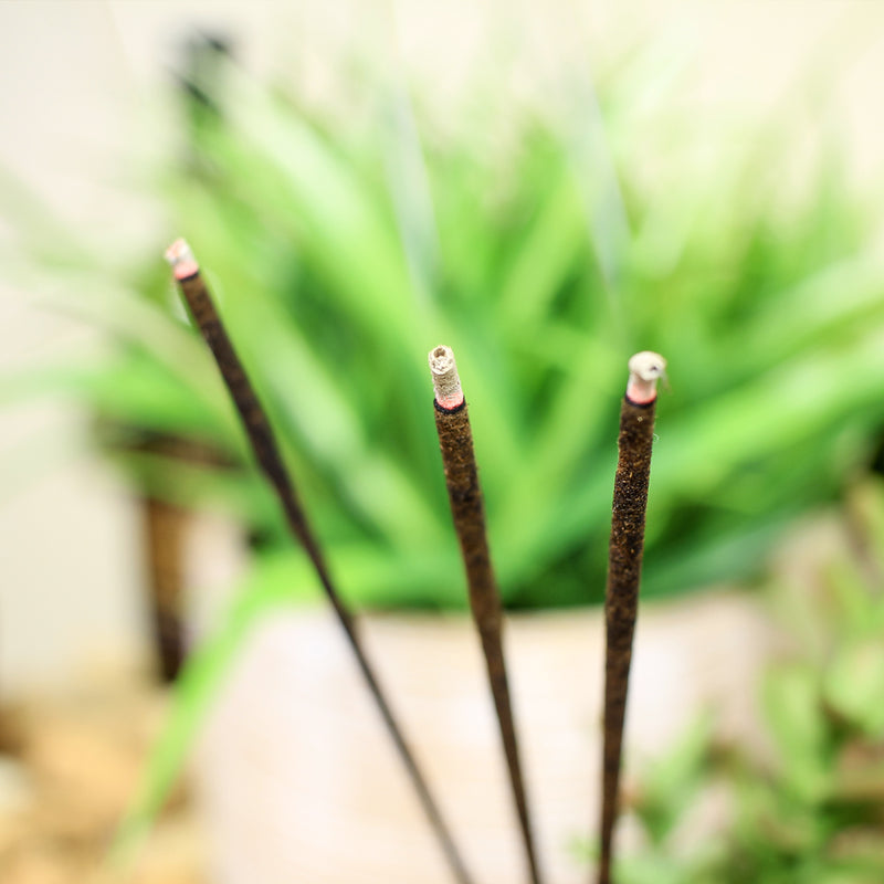 Incense - Outdoor Blend - Citronella